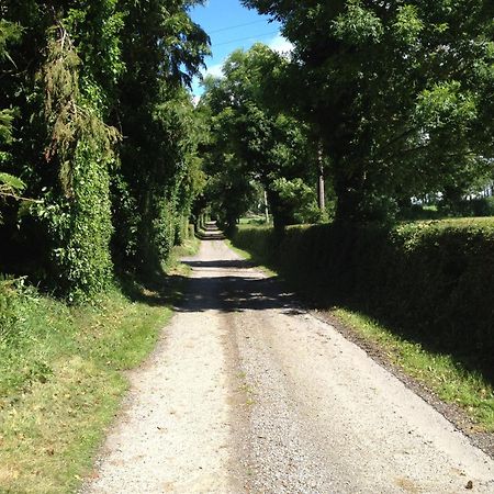 Ballindrum Farm B&B Athy Ngoại thất bức ảnh