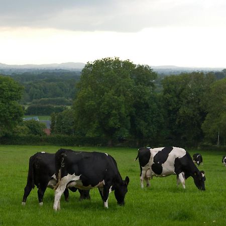 Ballindrum Farm B&B Athy Ngoại thất bức ảnh