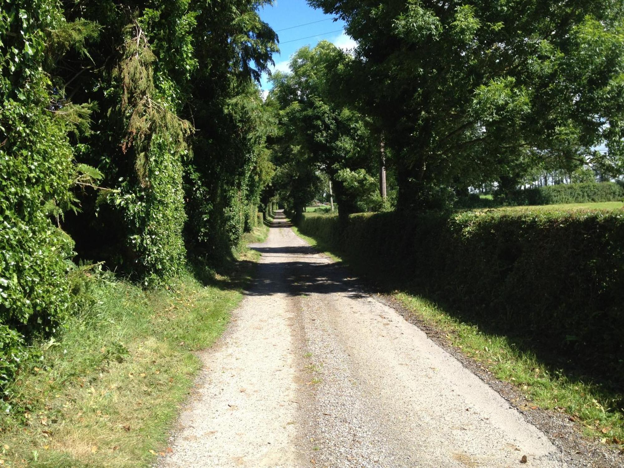 Ballindrum Farm B&B Athy Ngoại thất bức ảnh
