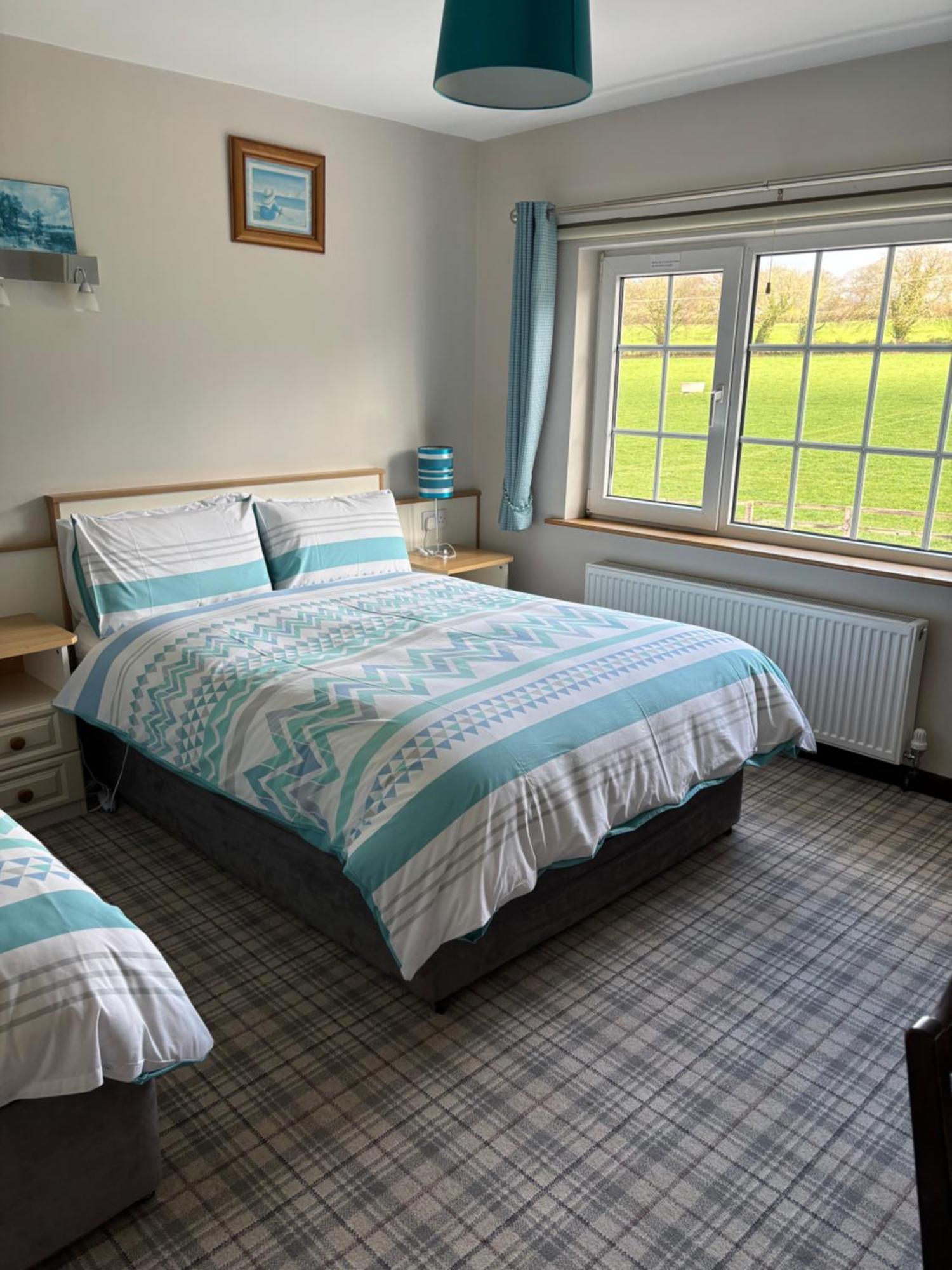 Ballindrum Farm B&B Athy Ngoại thất bức ảnh