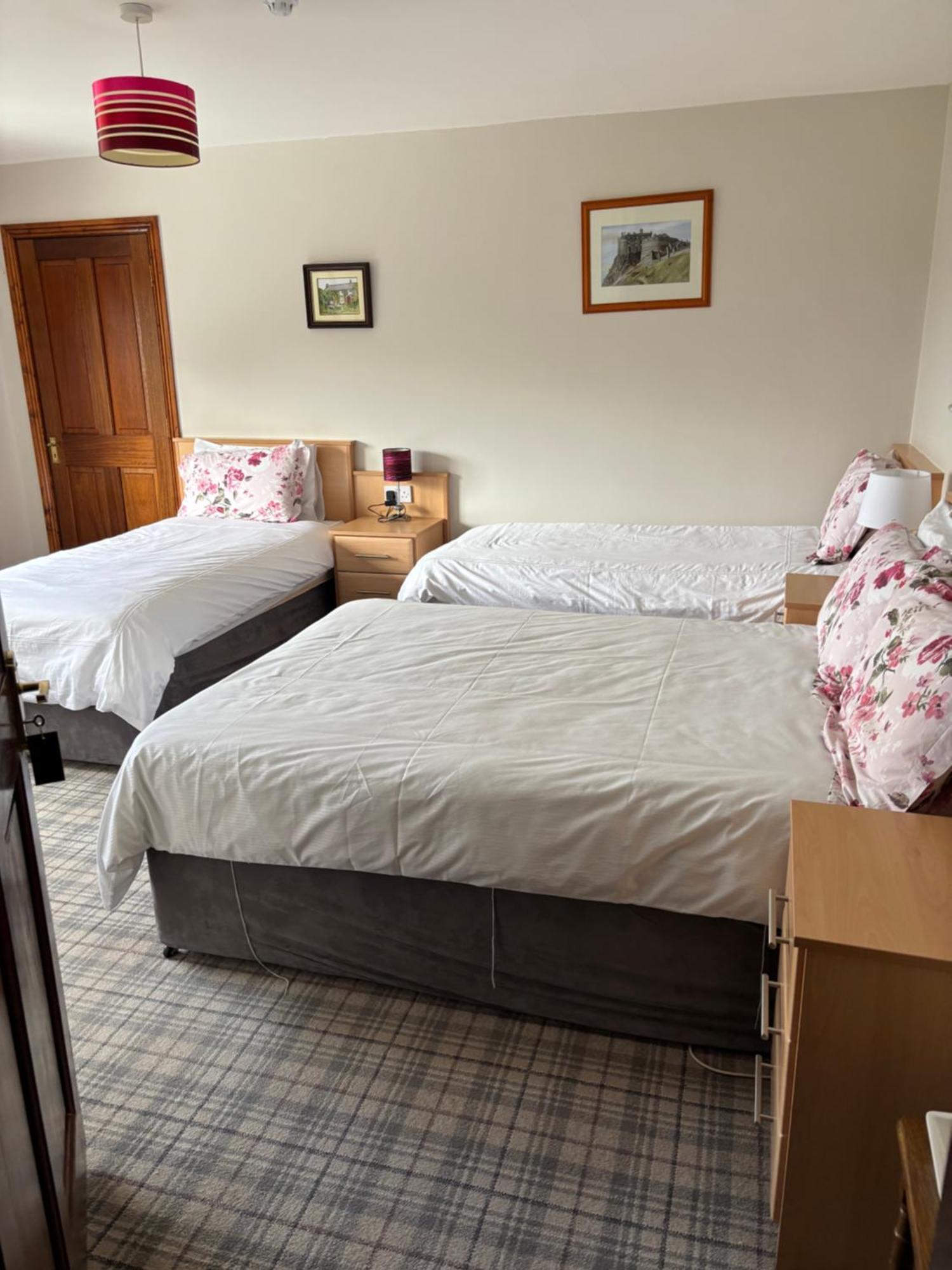 Ballindrum Farm B&B Athy Ngoại thất bức ảnh