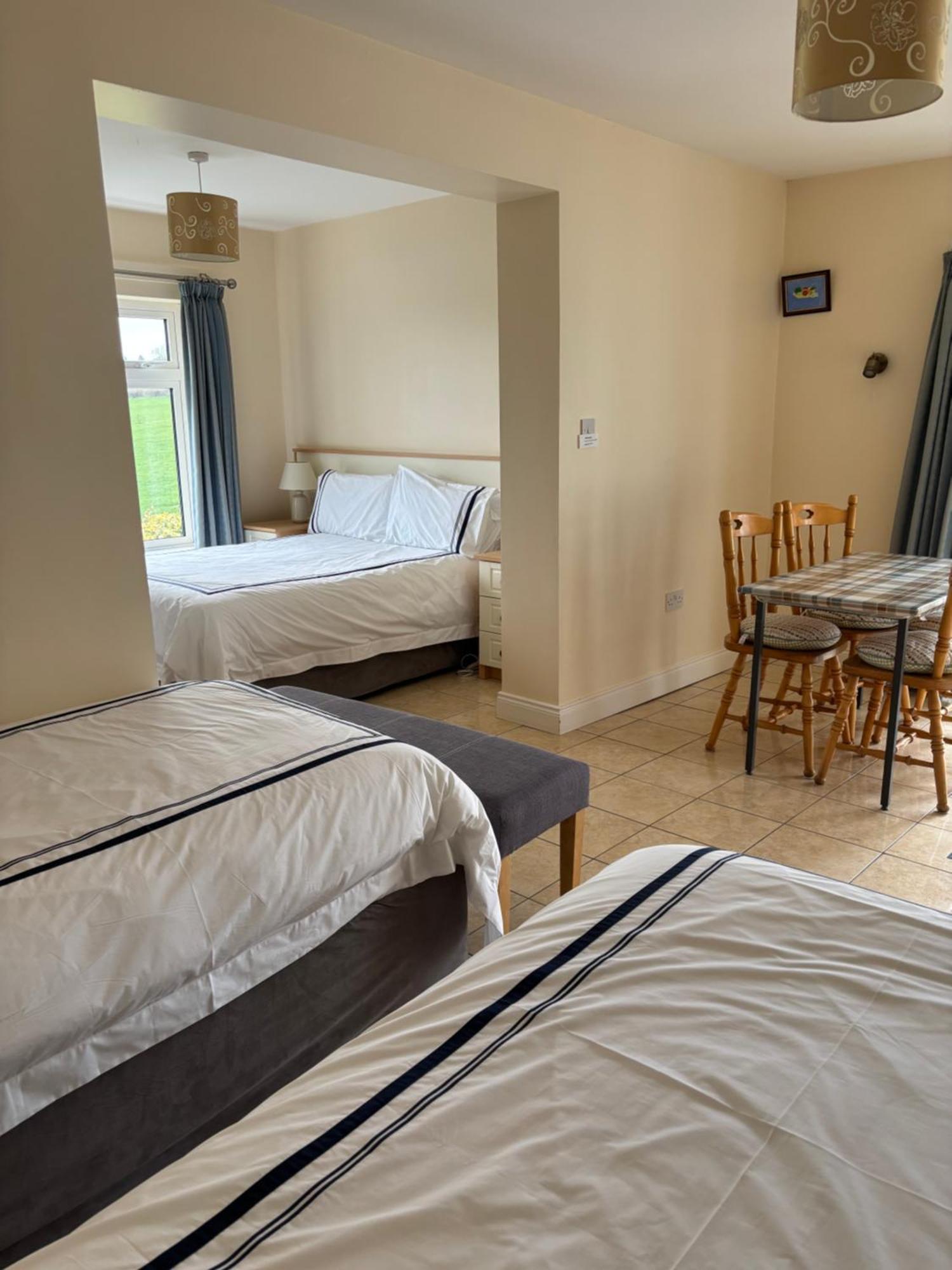 Ballindrum Farm B&B Athy Ngoại thất bức ảnh