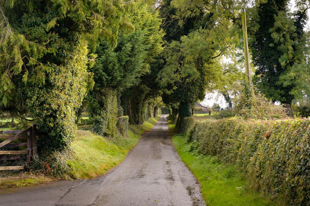Ballindrum Farm B&B Athy Ngoại thất bức ảnh