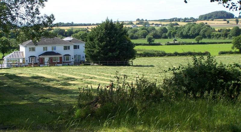 Ballindrum Farm B&B Athy Ngoại thất bức ảnh