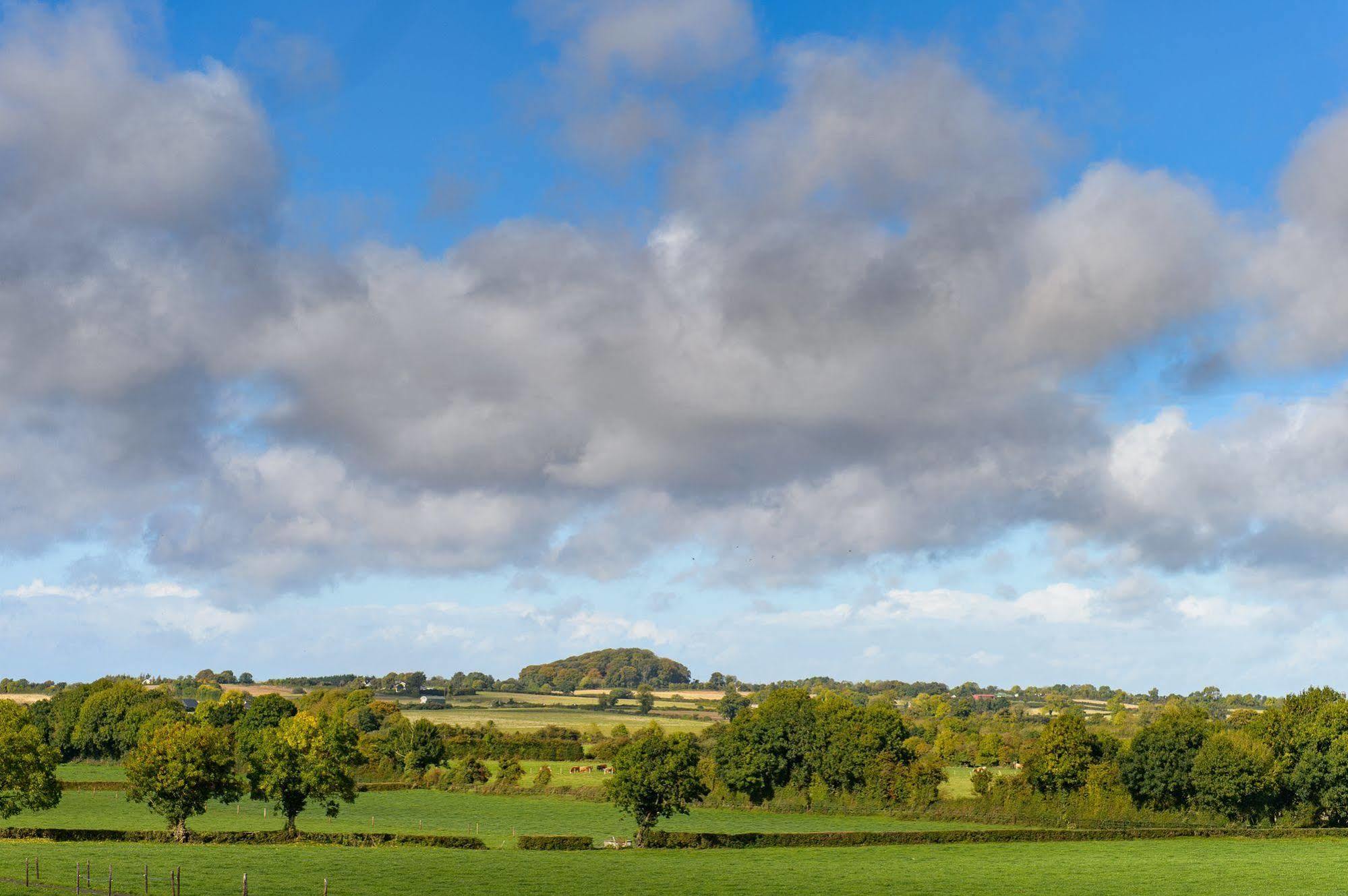 Ballindrum Farm B&B Athy Ngoại thất bức ảnh