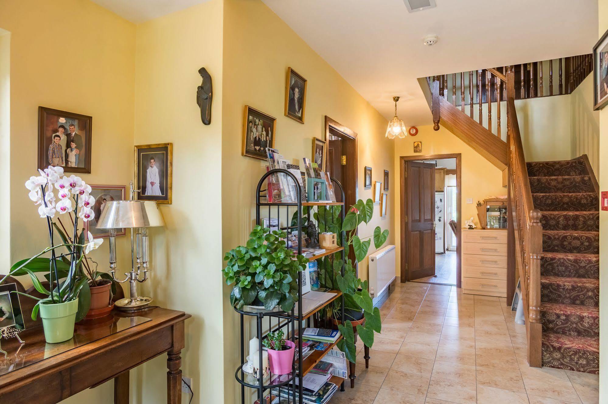 Ballindrum Farm B&B Athy Ngoại thất bức ảnh
